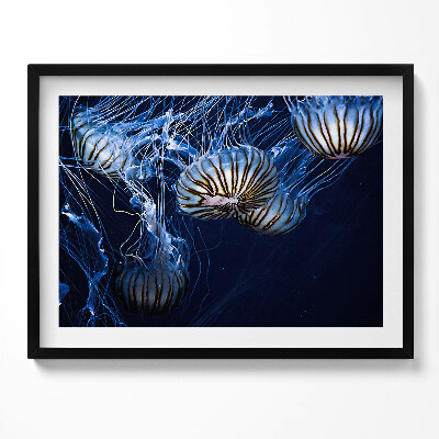 Tablou living cu rama Meduze albastre în apă