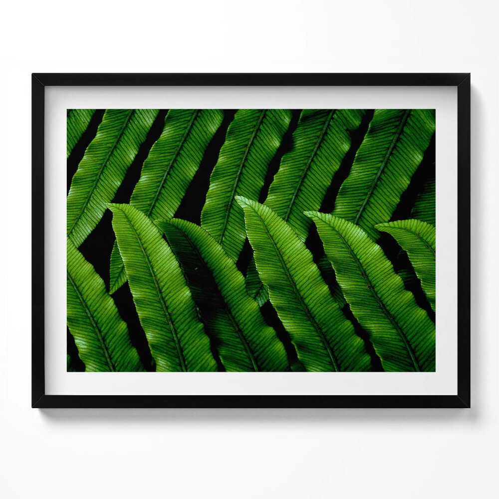 Tablou rama Frunze verzi de aproape