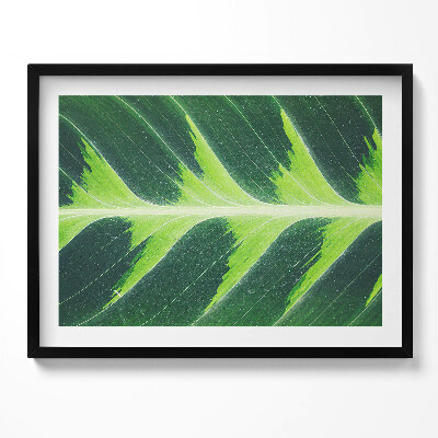 Tablou living cu rama Textura și nervurile frunzelor