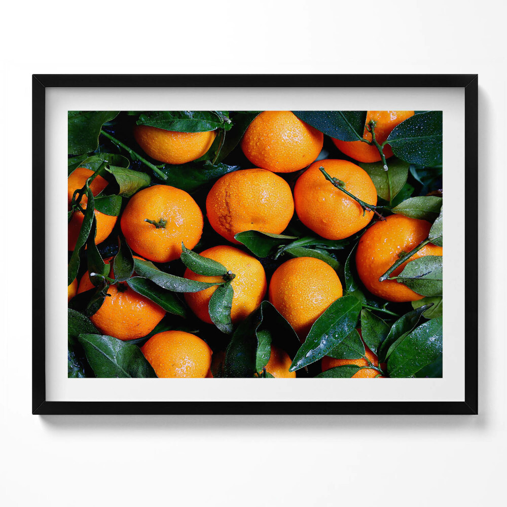 Tablou rama Portocale italiene coapte