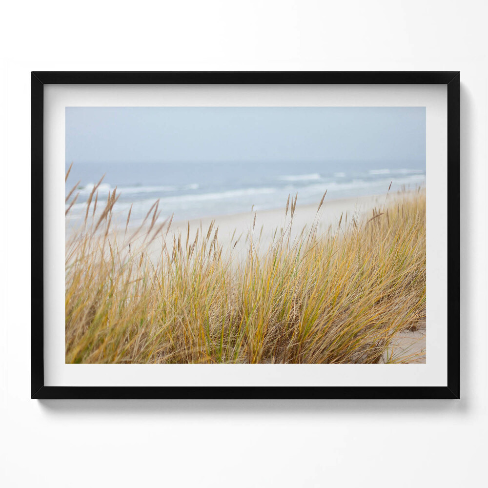 Tablou living cu rama Peisaj de plajă și iarbă de pe malul mării