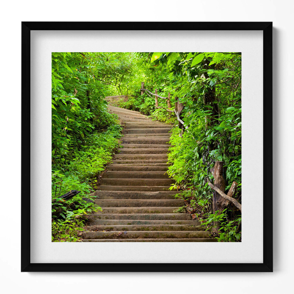 Tablou living cu rama unic Scări în mijlocul pădurii