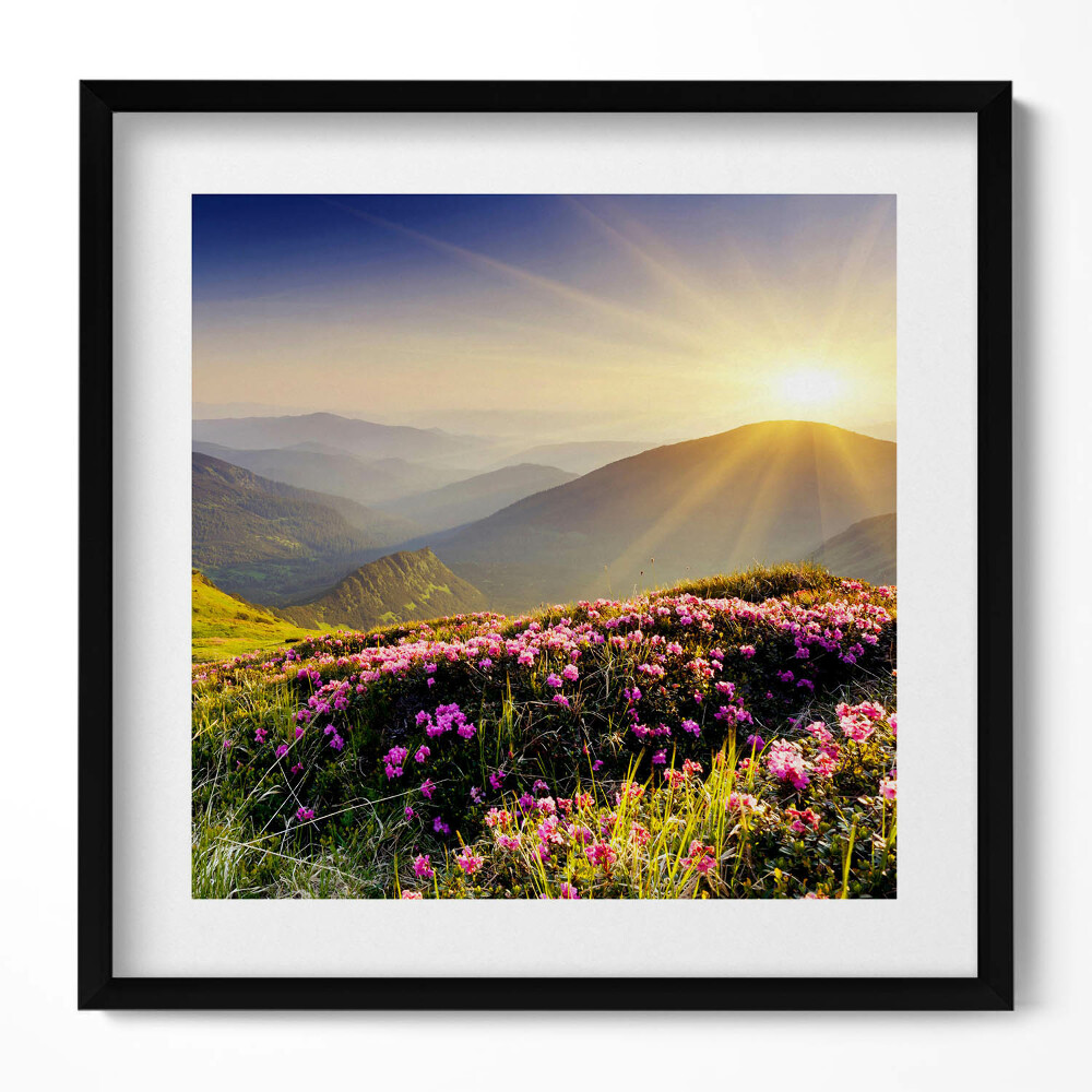 Tablou living cu rama unic Munți și o pajiște cu flori