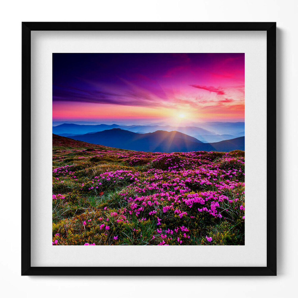 Tablou living cu rama unic Flori de răsărit