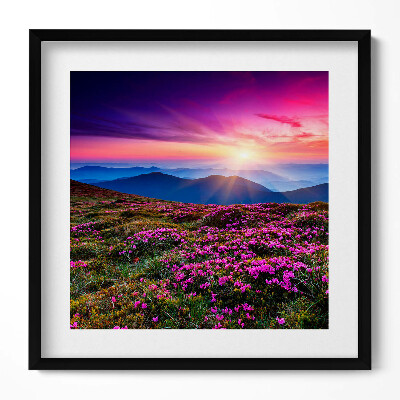 Tablou living cu rama unic Flori de răsărit