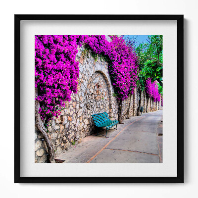 Tablou living cu rama unic Calea cu flori în Capri, Italia