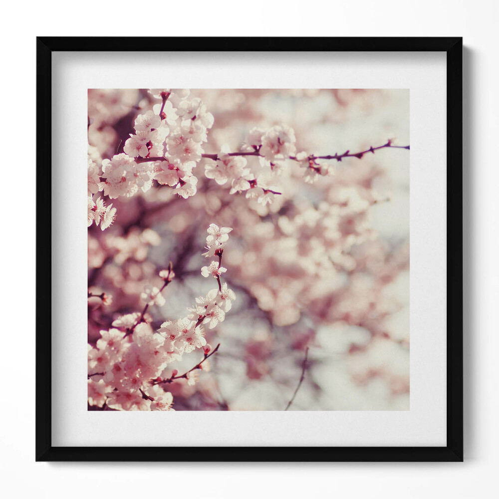 Tablou living cu rama unic Flori de primăvară înflorite