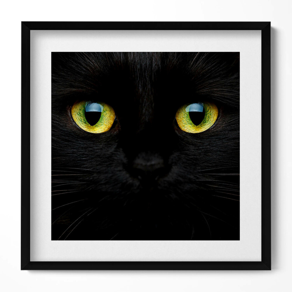 Tablou rama unic Ochi de pisică animale