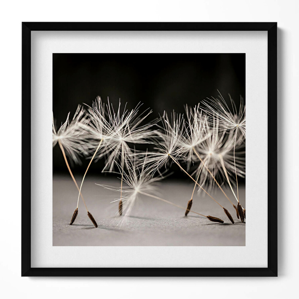 Tablou rama unic Polen delicat de păpădie