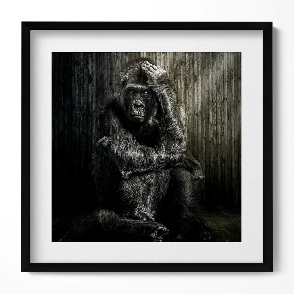 Tablou rama unic O maimuță gândind în umbră