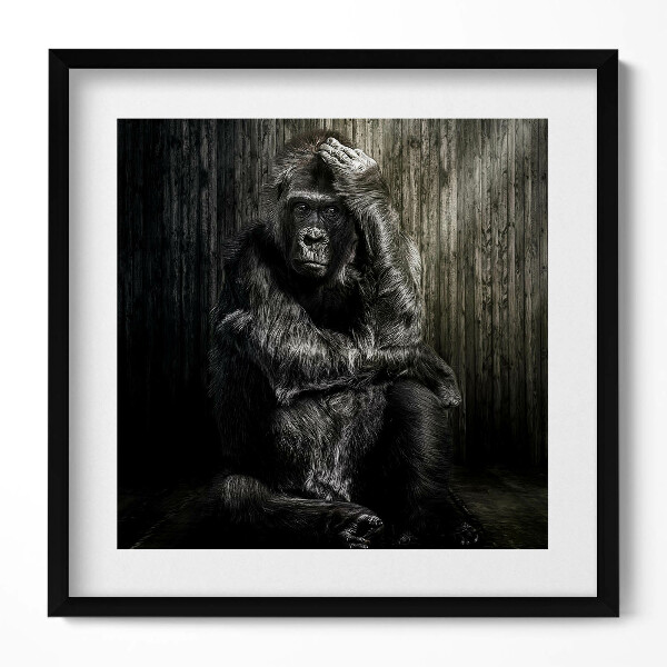 Tablou rama unic O maimuță gândind în umbră