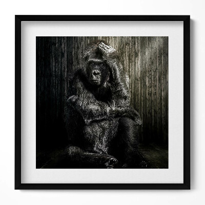 Tablou rama unic O maimuță gândind în umbră