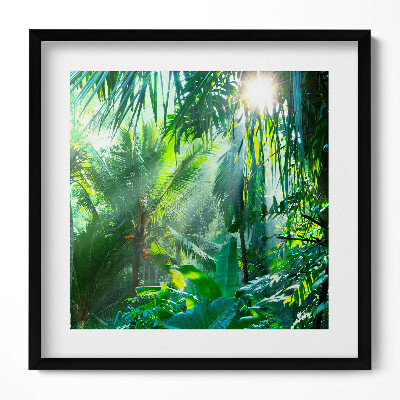 Tablou living cu rama unic O junglă verde plină de plante