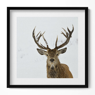 Tablou living cu rama unic Cerbul maiestuos