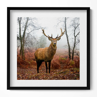 Tablou rama unic Cerbi în pădure în toamnă