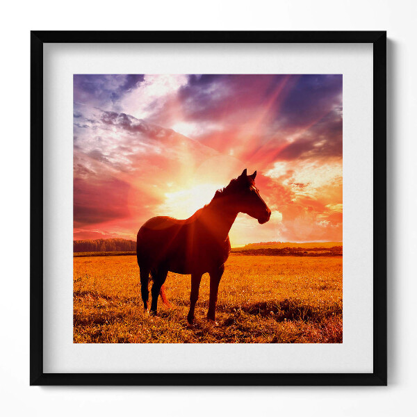 Tablou rama unic Un cal pe un câmp la apus