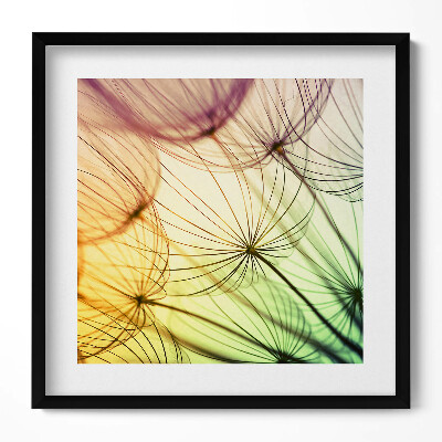 Tablou living cu rama unic Polen delicat de păpădie