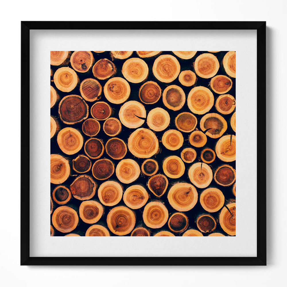 Tablou living cu rama unic Lemn, cioturi de copaci