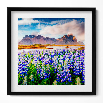 Tablou rama unic Flori magice de lupin