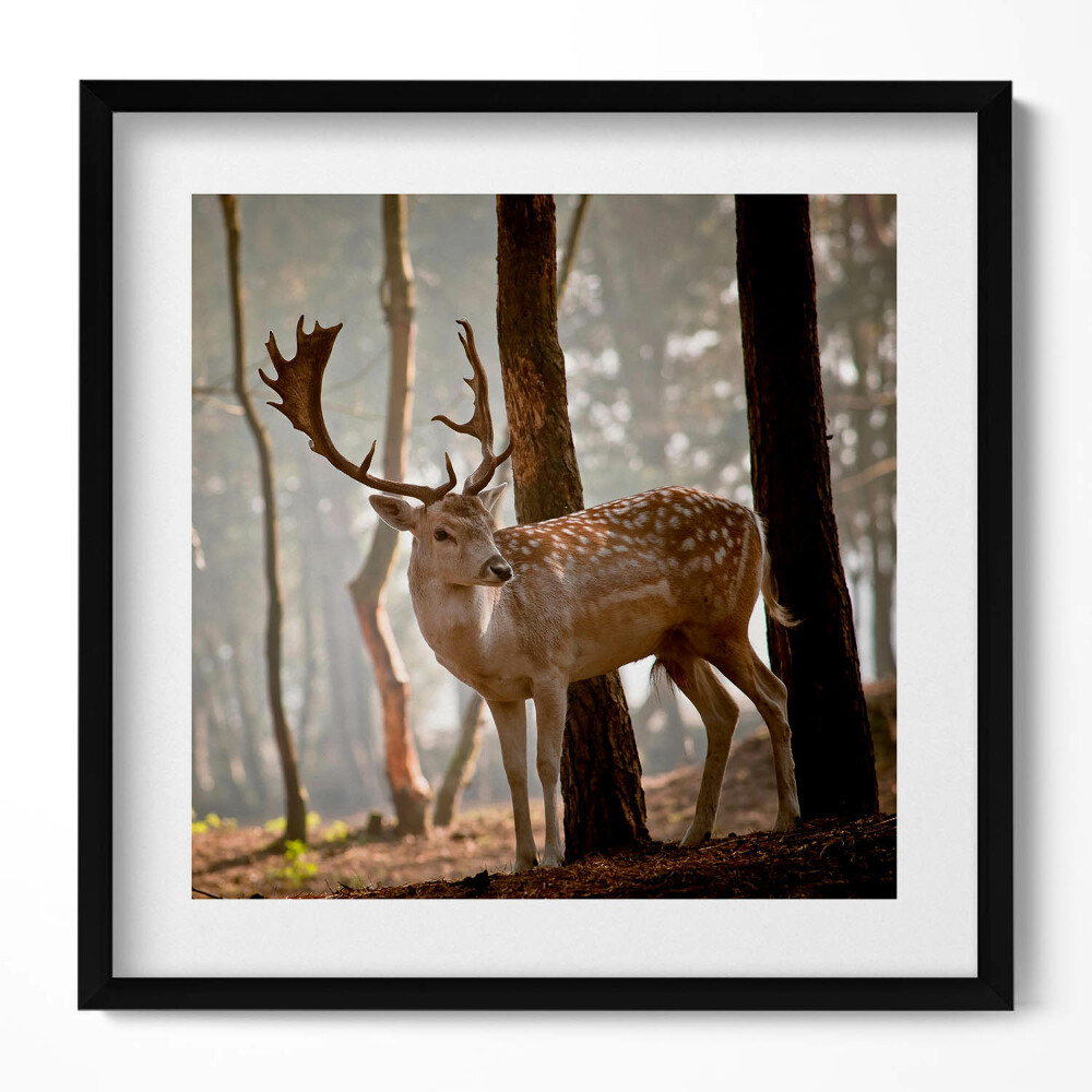 Tablou living cu rama unic Cerbi în strălucirea soarelui care răsare