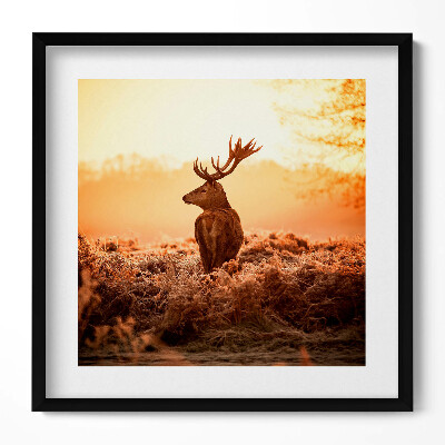 Tablou living cu rama unic Cerb la răsărit