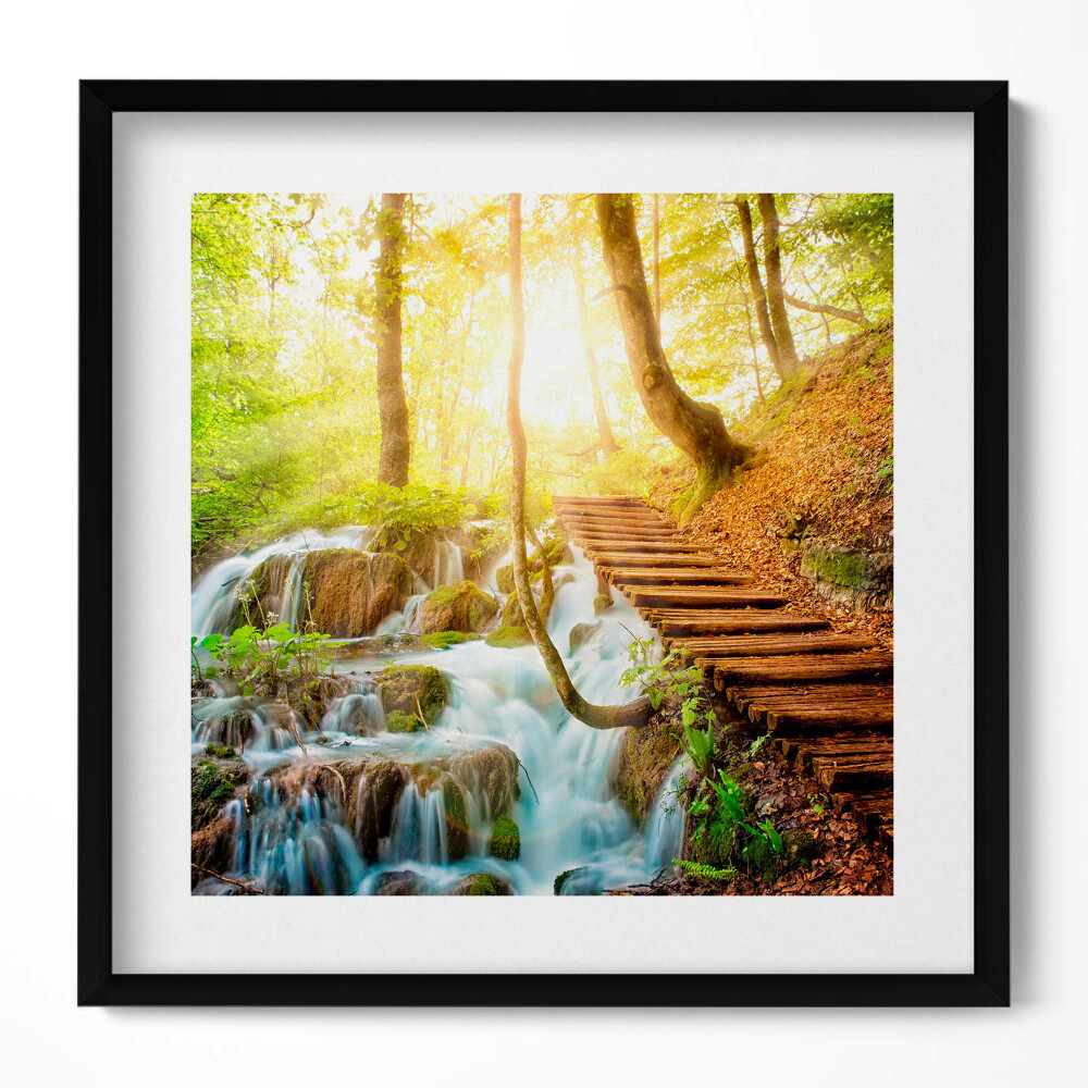 Tablou living cu rama unic Pârâu și scări în pădure