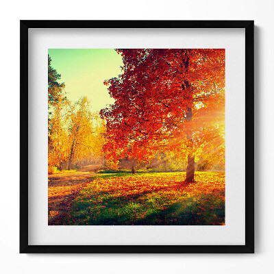 Tablou rama unic Parc de toamnă