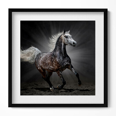Tablou rama unic Calul galopant