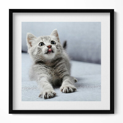 Tablou living cu rama unic Pisicuță adorabilă pe canapea