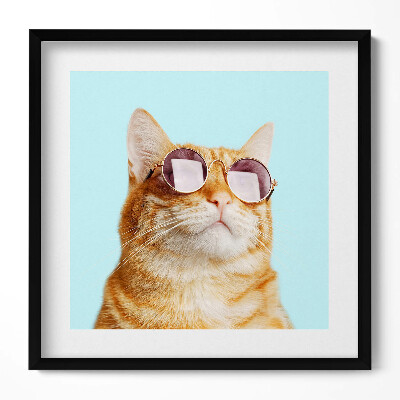Tablou living cu rama unic Pisică amuzantă cu ochelari