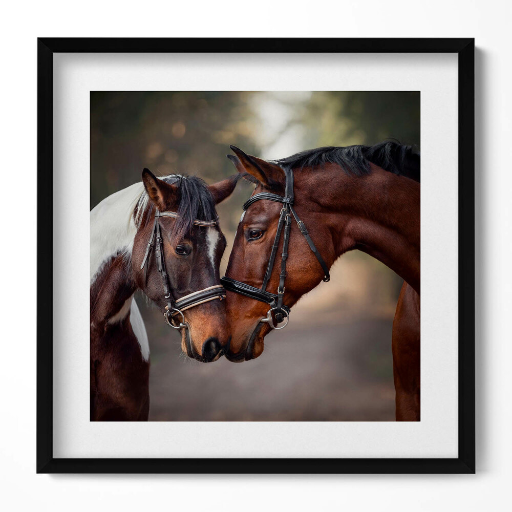Tablou living cu rama unic Portret de cai în pădure