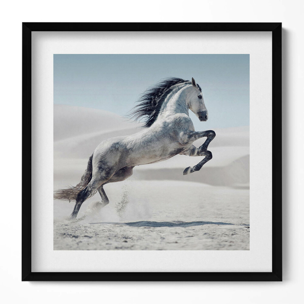 Tablou living cu rama unic Cal alb galopant