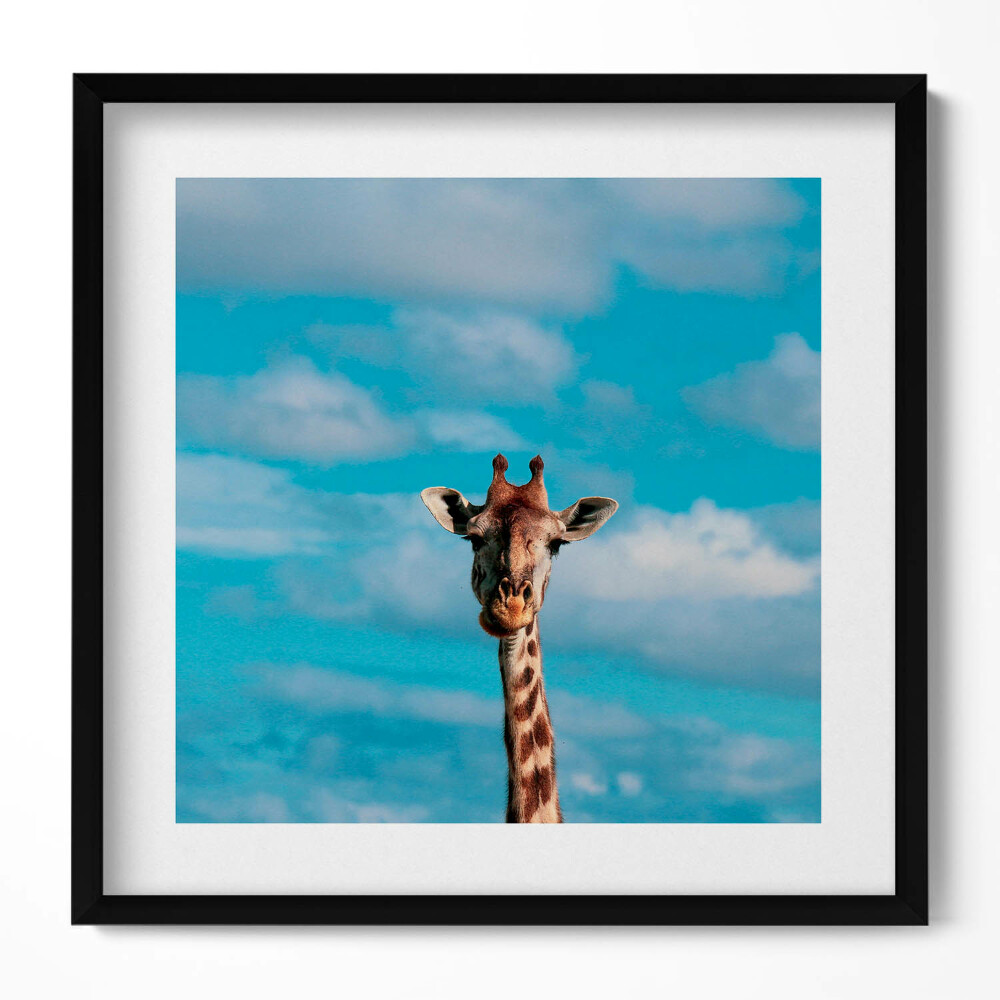 Tablou living cu rama unic Cap de girafă pe cer