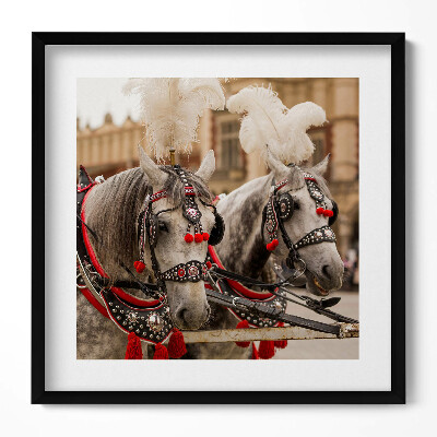 Tablou living cu rama unic Cai frumoși în Cracovia