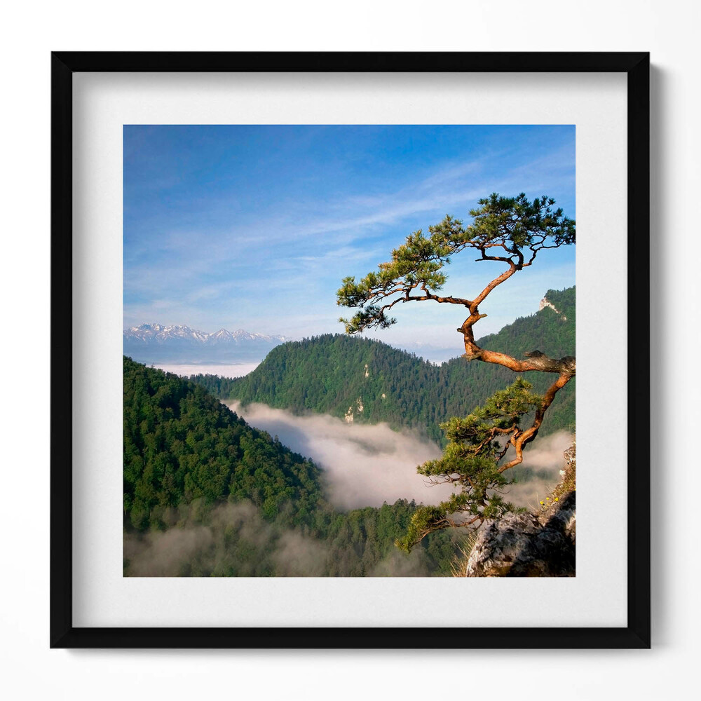 Tablou rama unic Vârful Sokolica din Munții Pieniny