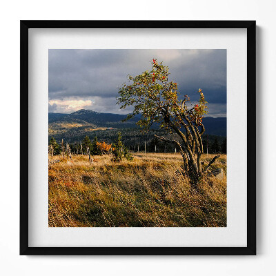 Tablou rama unic Karkonosze în toamnă