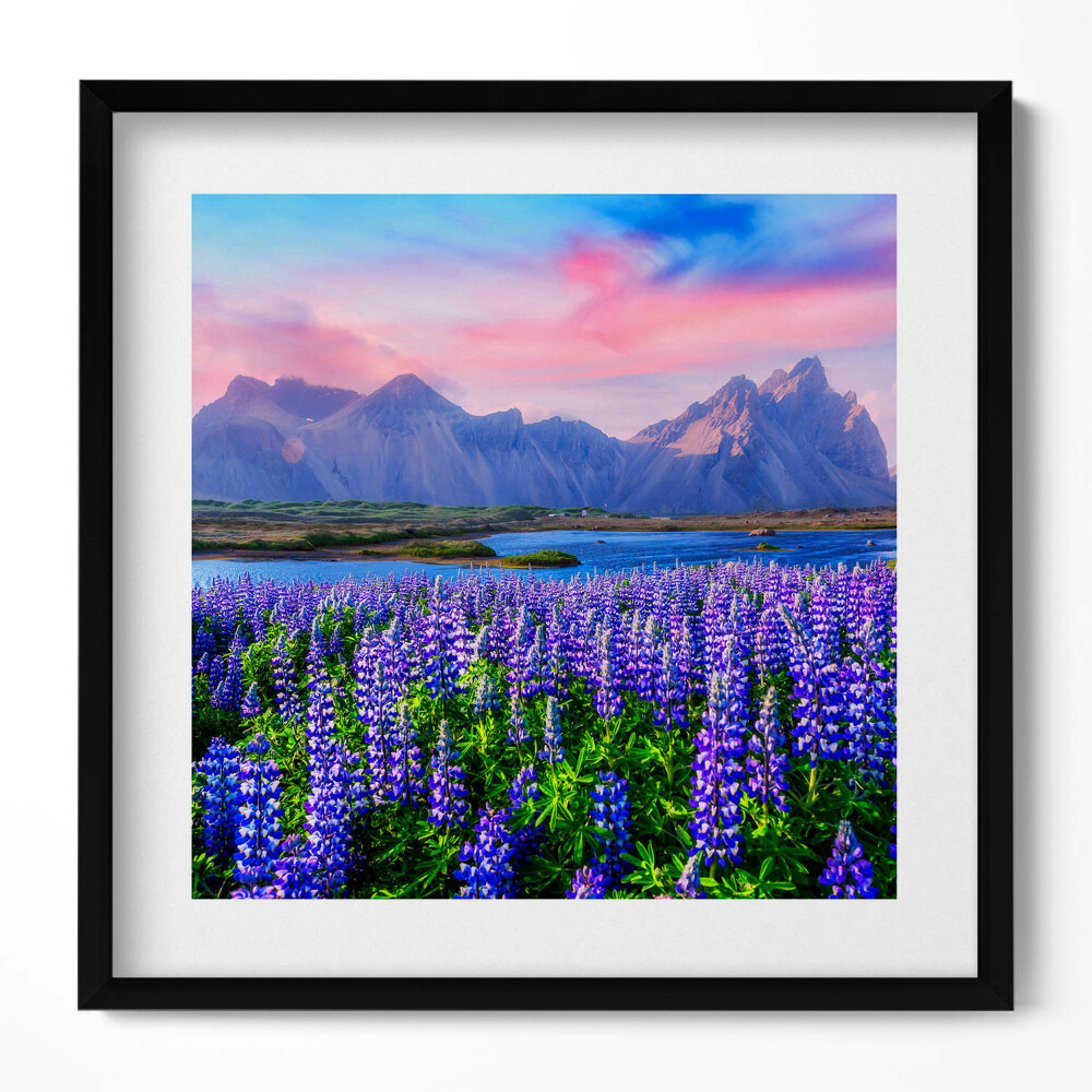 Tablou rama unic Câmpuri de lavandă - Islanda