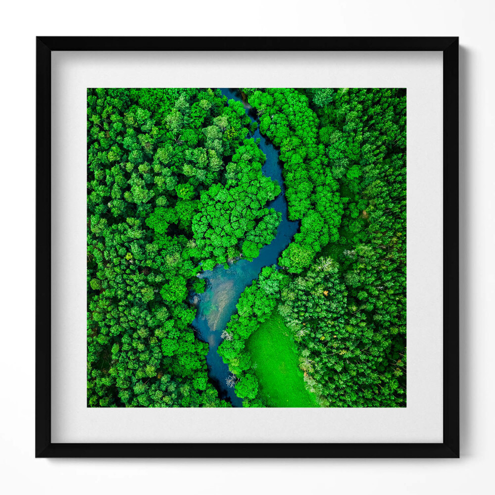 Tablou rama unic Râul în pădure