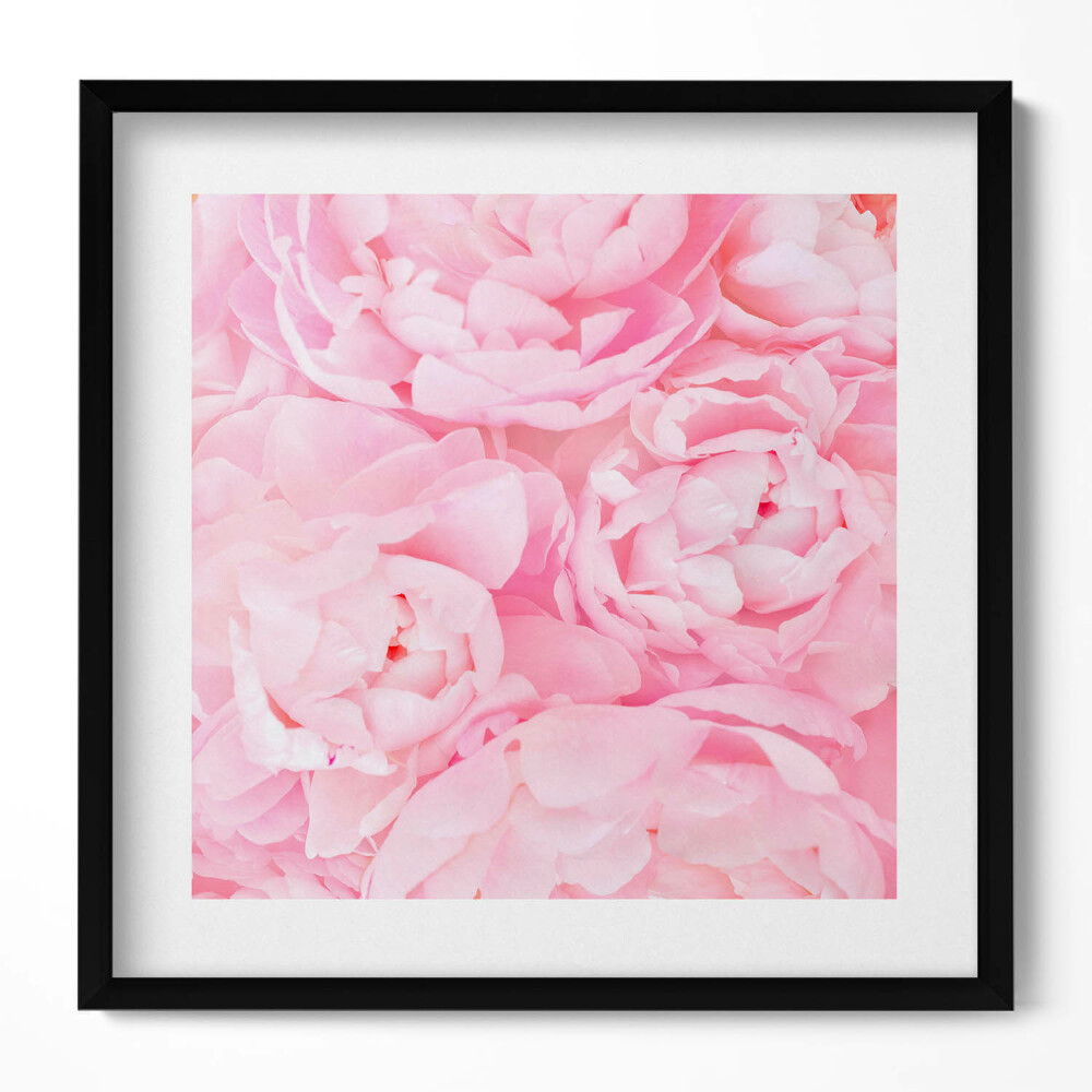 Tablou rama unic Flori înflorite