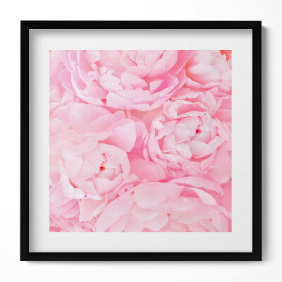 Tablou rama unic Flori înflorite