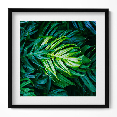 Tablou living cu rama unic Frunze de Monstera sălbatică