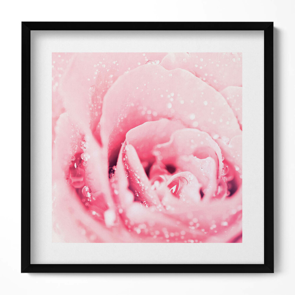 Tablou rama unic Floare roz delicată