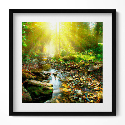 Tablou living cu rama unic Pârâu de pădure în razele soarelui