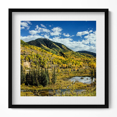 Tablou living cu rama unic Peisaj montan cu vegetație