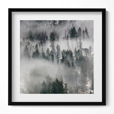 Tablou living cu rama unic Peisaj de pădure cețos