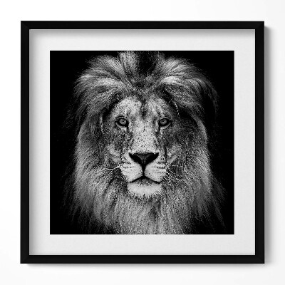 Tablou living cu rama unic Pisica sălbatică cu cap de leu