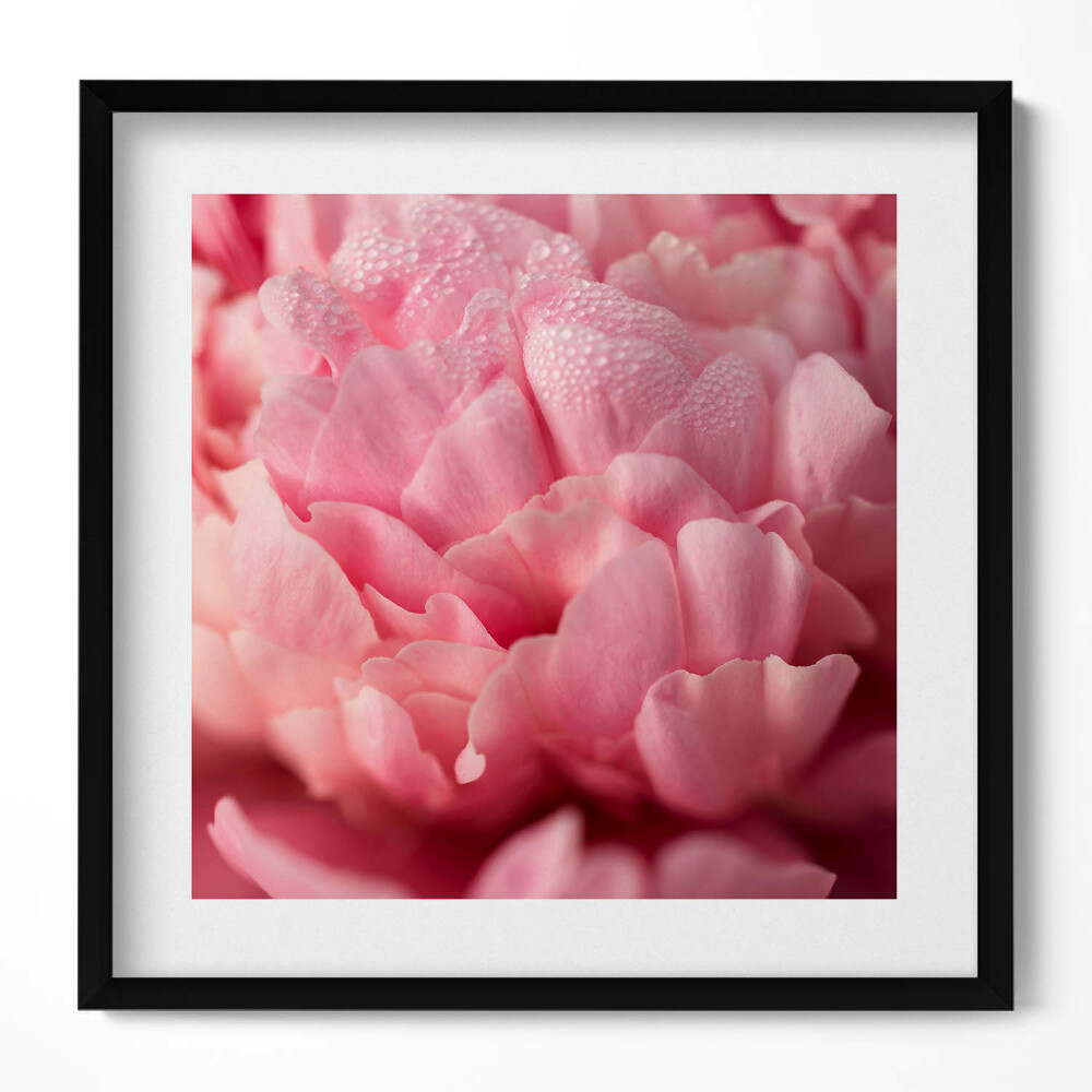 Tablou rama unic Petale delicate de flori