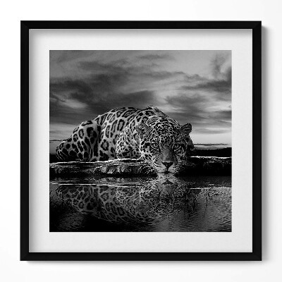 Tablou living cu rama unic Leopard alb-negru animal sălbatic