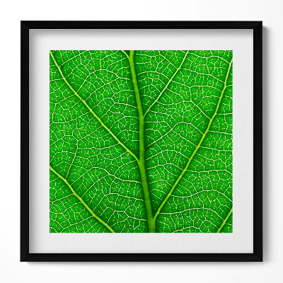 Tablou rama unic Venele frunzelor verzi