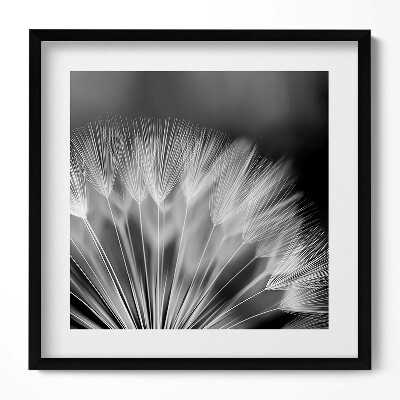 Tablou rama unic Prim-plan alb-negru al unei păpădii